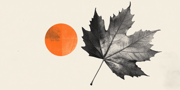 加拿大11月就业再次激增 &ndash; TDS